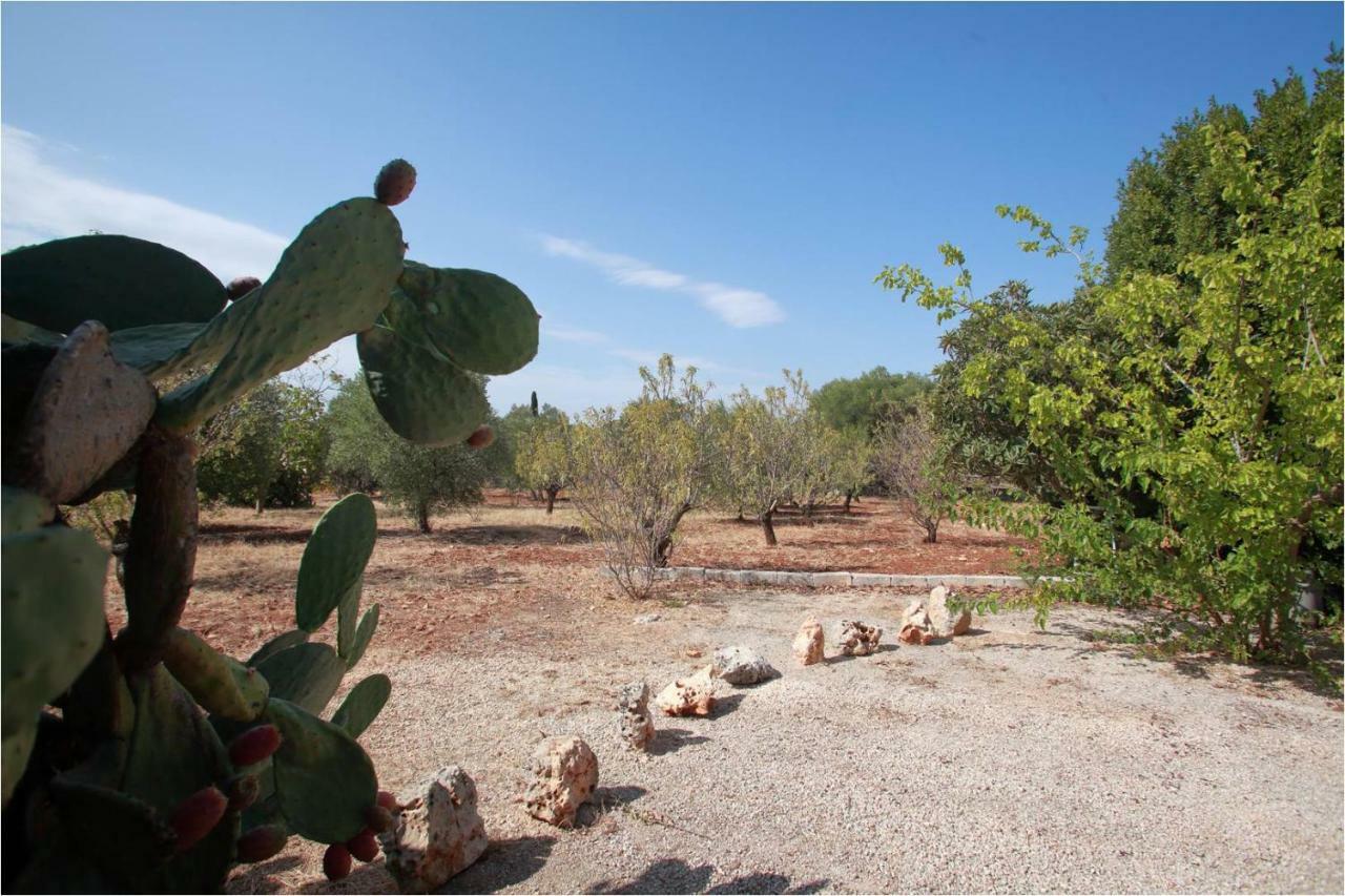 Trullo Riccardo Villa Ostuni Exterior photo